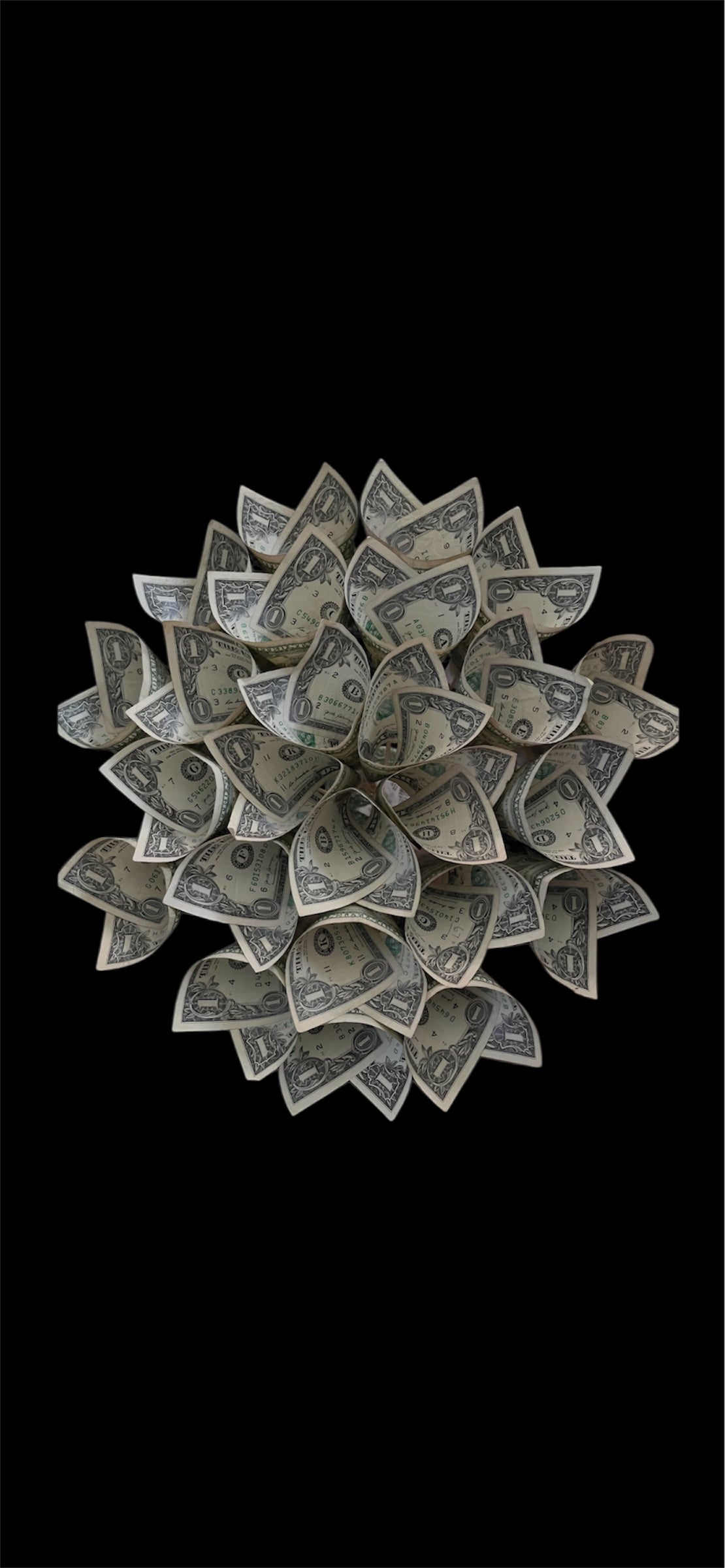 Lotus Money Bouquet