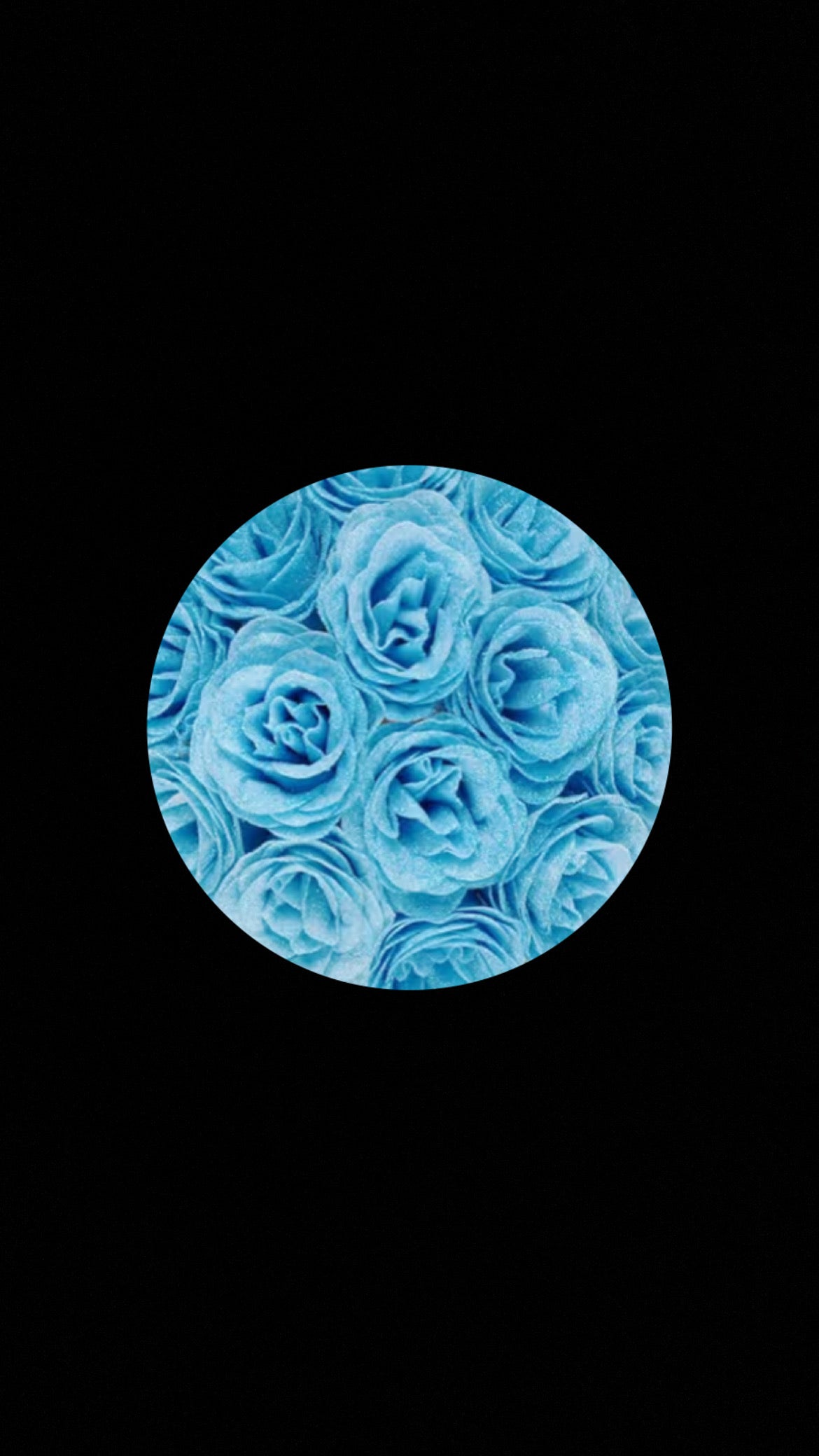 Basic Colored Glitter Roses